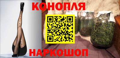 сатива Сланцы