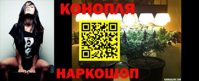 МДПВ Славянск-на-Кубани