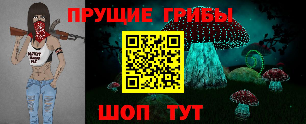 Псилоцибиновые грибы Cubensis Осинники